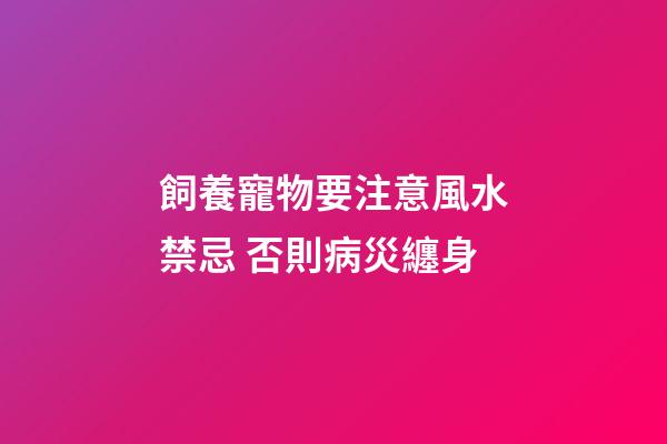 飼養寵物要注意風水禁忌 否則病災纏身